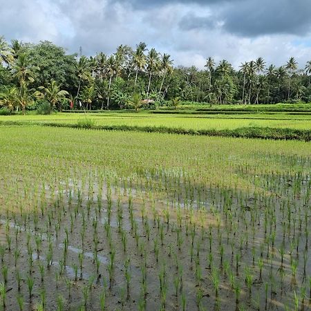 New 4 Bedroom Villa Surrounded By Jungle And Ricefields 乌布 外观 照片