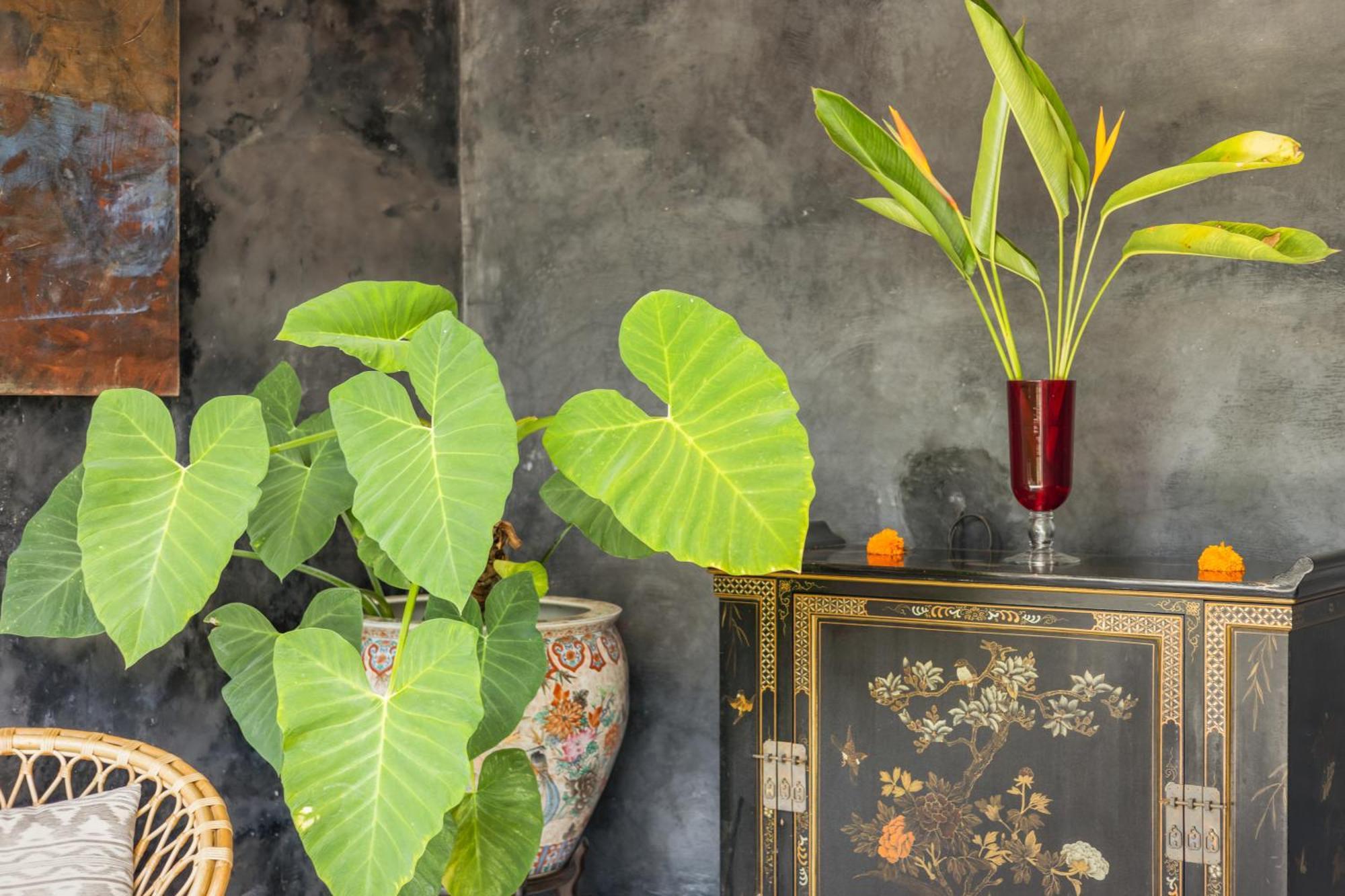 New 4 Bedroom Villa Surrounded By Jungle And Ricefields 乌布 外观 照片